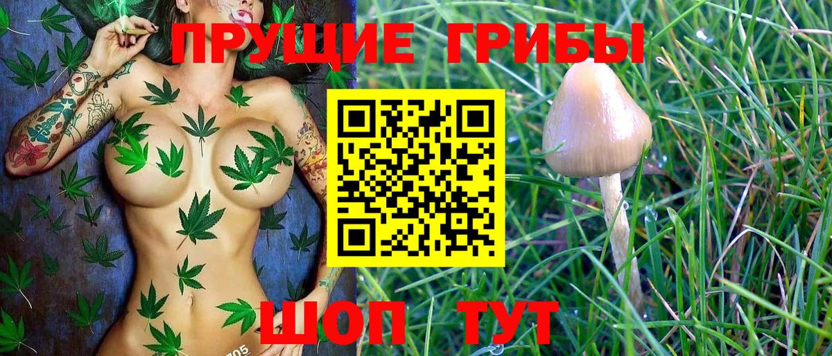Псилоцибиновые грибы ЛСД  Псилоцибиновые грибы Psilocybe  Вход с VPN  Протвино 